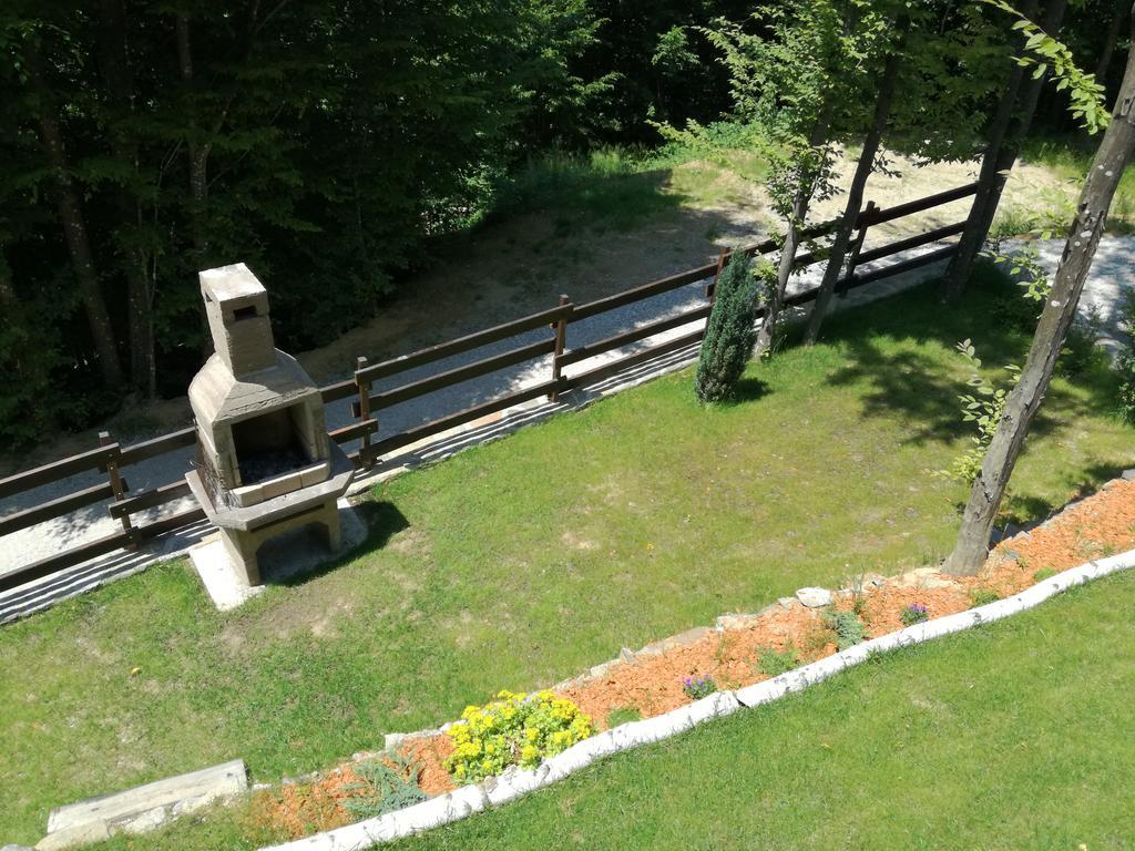 Apartmán Casa Gozna Văliug Exteriér fotografie