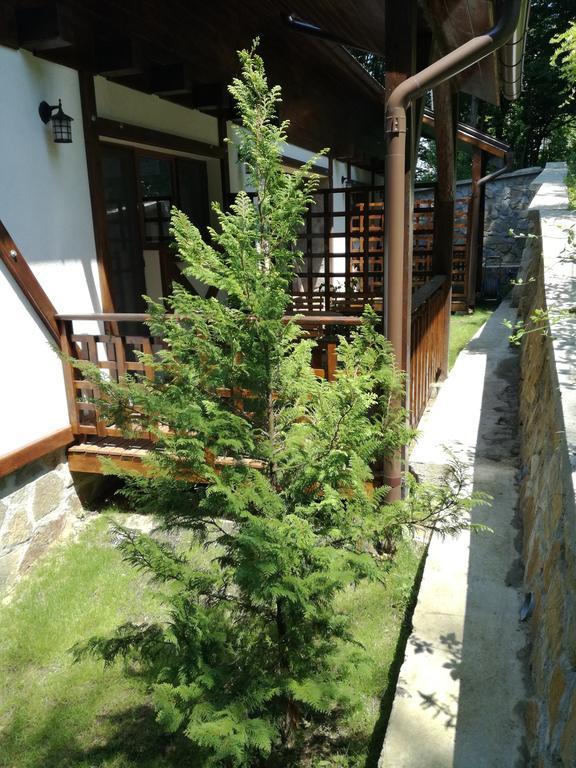 Apartmán Casa Gozna Văliug Exteriér fotografie