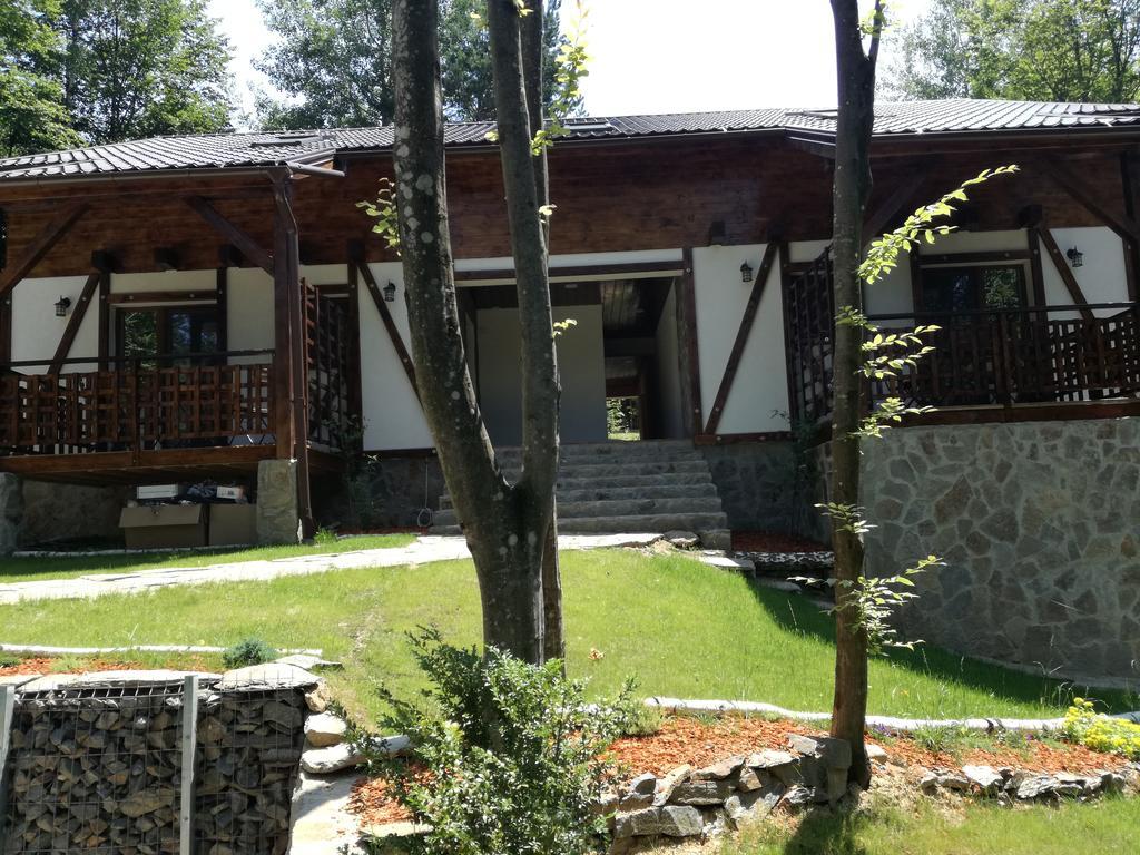 Apartmán Casa Gozna Văliug Exteriér fotografie