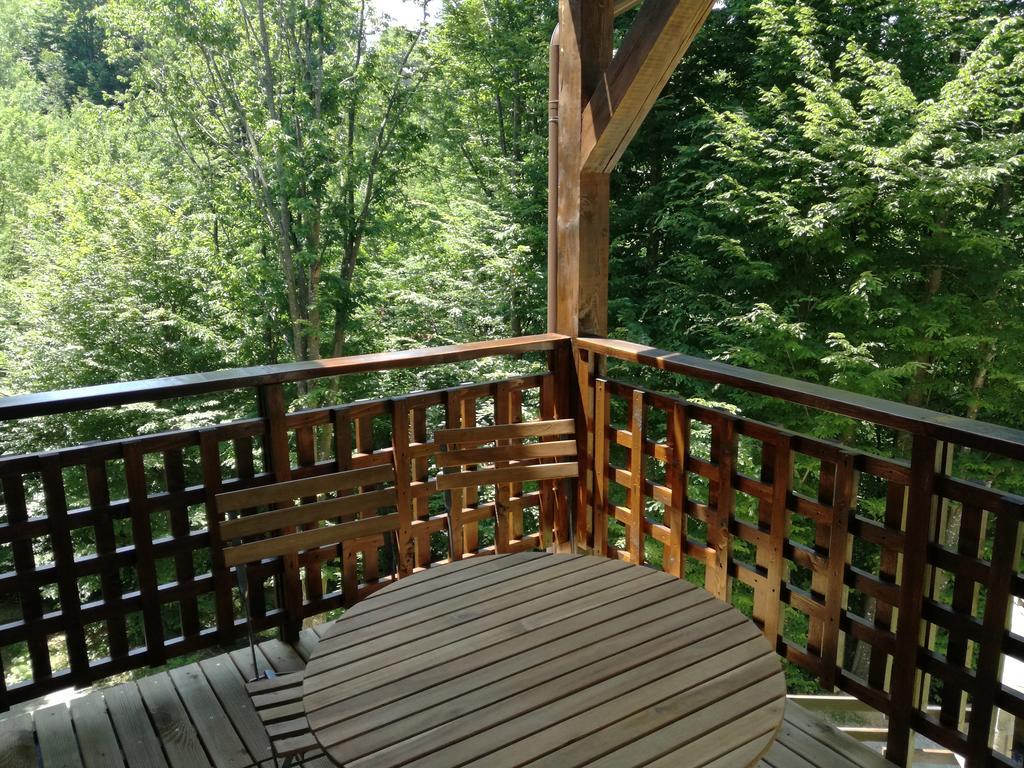 Apartmán Casa Gozna Văliug Exteriér fotografie