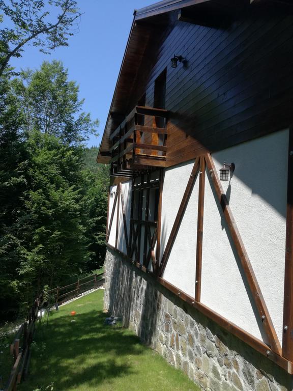Apartmán Casa Gozna Văliug Exteriér fotografie