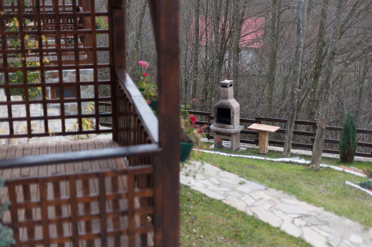 Apartmán Casa Gozna Văliug Exteriér fotografie