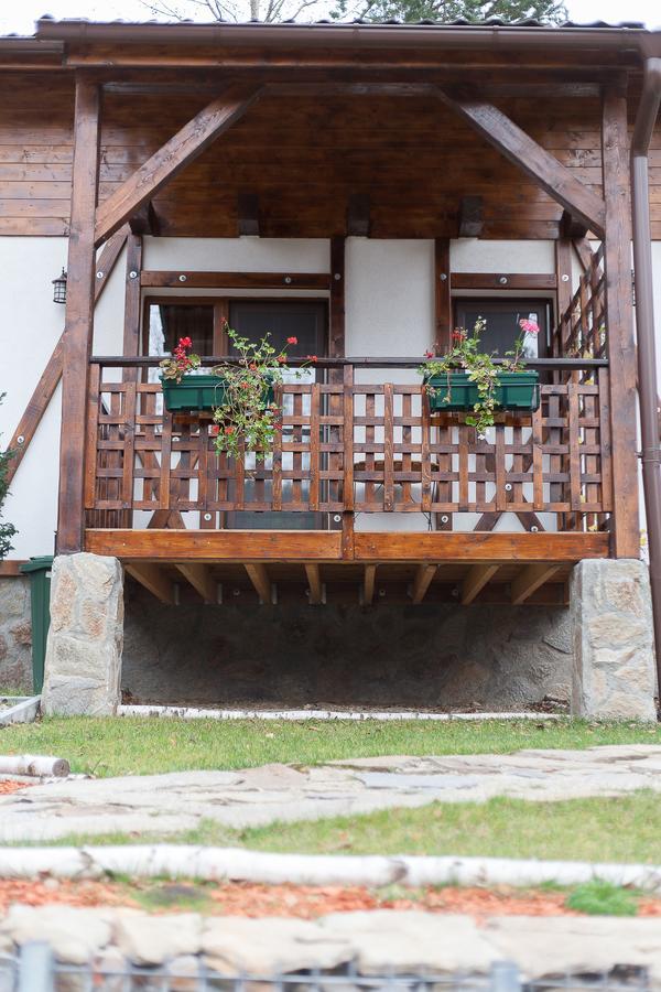 Apartmán Casa Gozna Văliug Exteriér fotografie