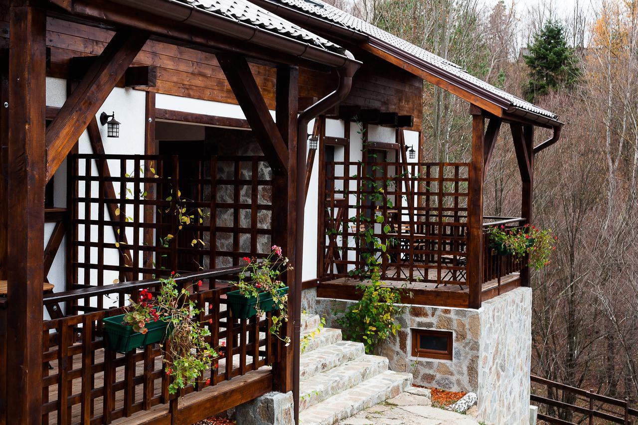 Apartmán Casa Gozna Văliug Exteriér fotografie