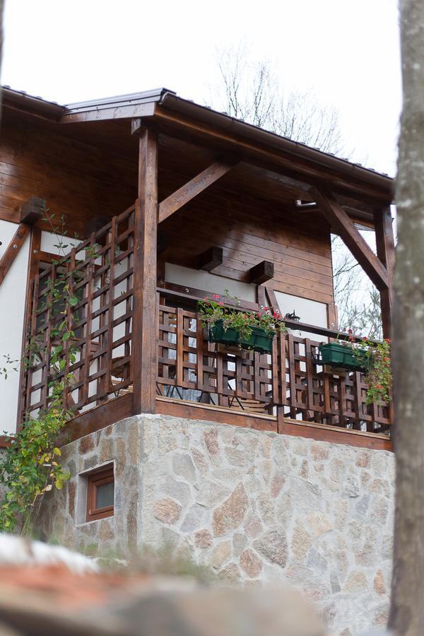 Apartmán Casa Gozna Văliug Exteriér fotografie