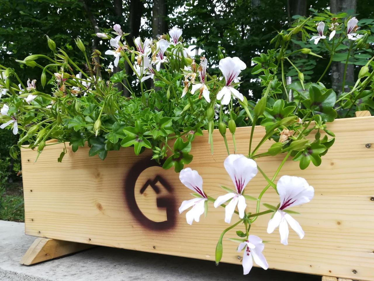 Apartmán Casa Gozna Văliug Exteriér fotografie