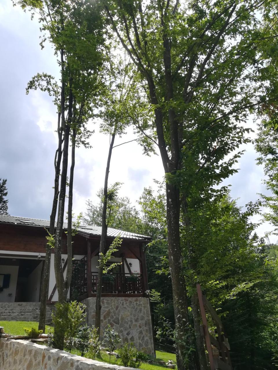 Apartmán Casa Gozna Văliug Exteriér fotografie