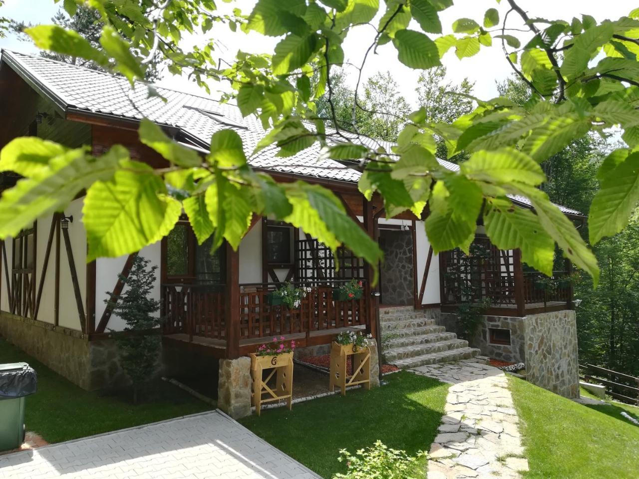 Apartmán Casa Gozna Văliug Exteriér fotografie