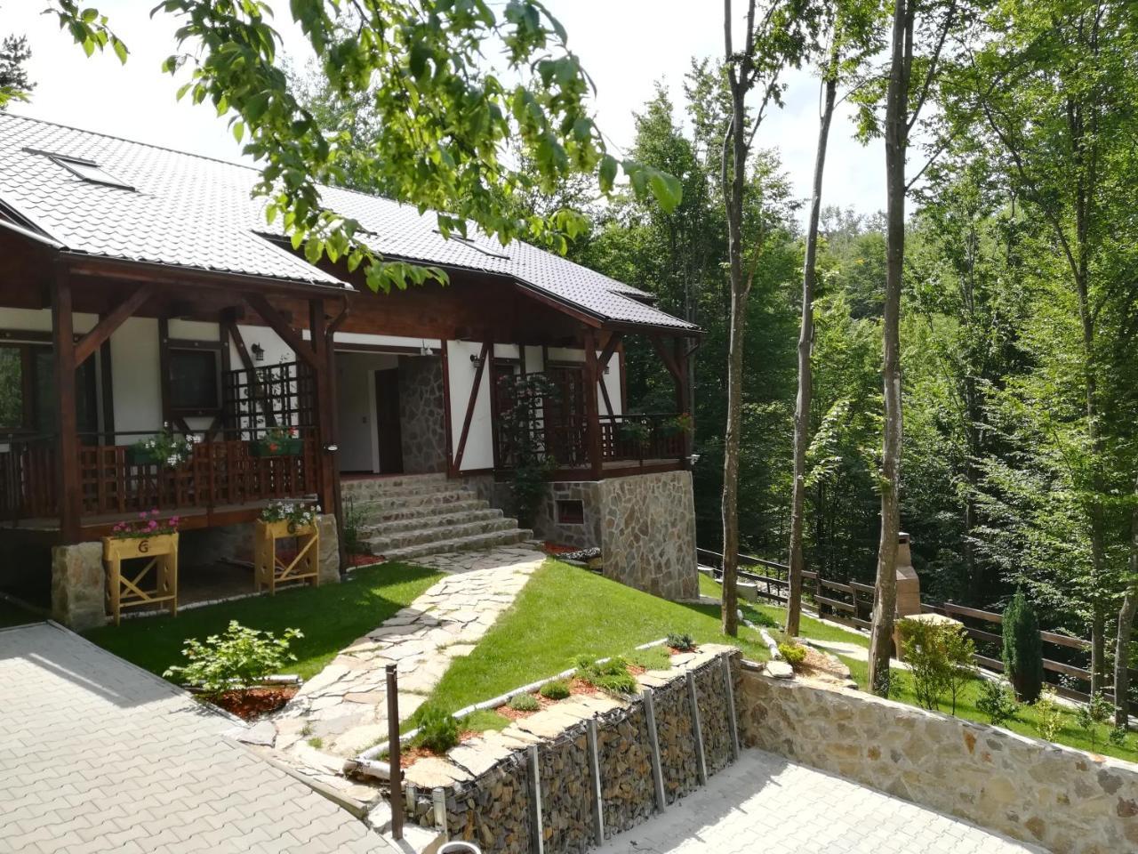 Apartmán Casa Gozna Văliug Exteriér fotografie