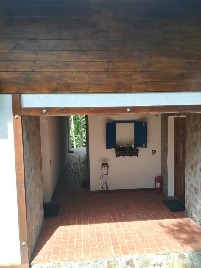 Apartmán Casa Gozna Văliug Exteriér fotografie